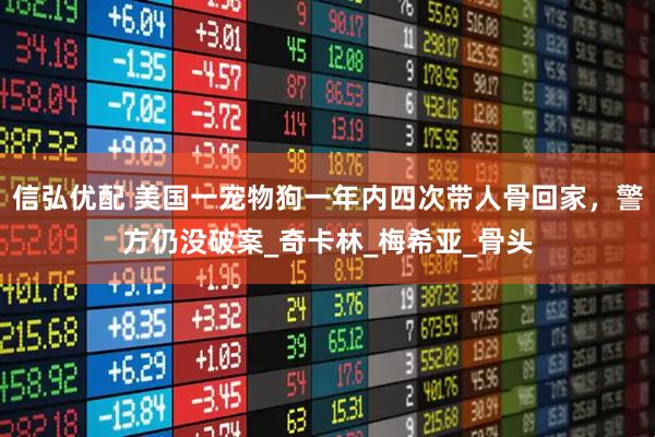 信弘优配 美国一宠物狗一年内四次带人骨回家，警方仍没破案_奇卡林_梅希亚_骨头