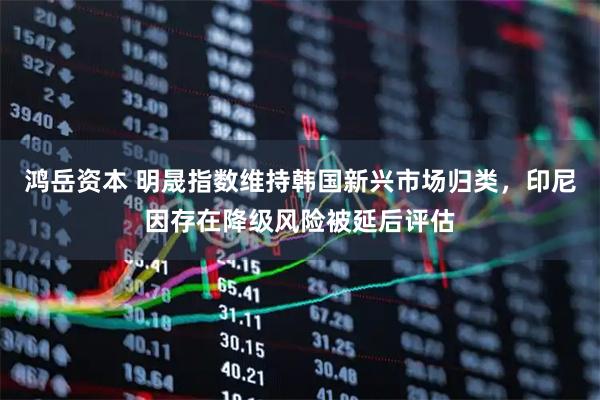 鸿岳资本 明晟指数维持韩国新兴市场归类，印尼因存在降级风险被延后评估